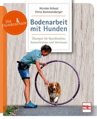 Bodenarbeit mit Hunden - Übungen für Koordination, Konzentration und Vertrauen