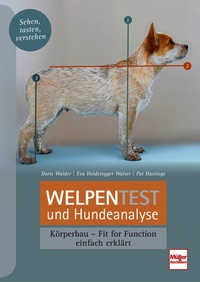 Welpentest und Hundeanalyse - Körperbau - Fit for Function - einfach erklärt